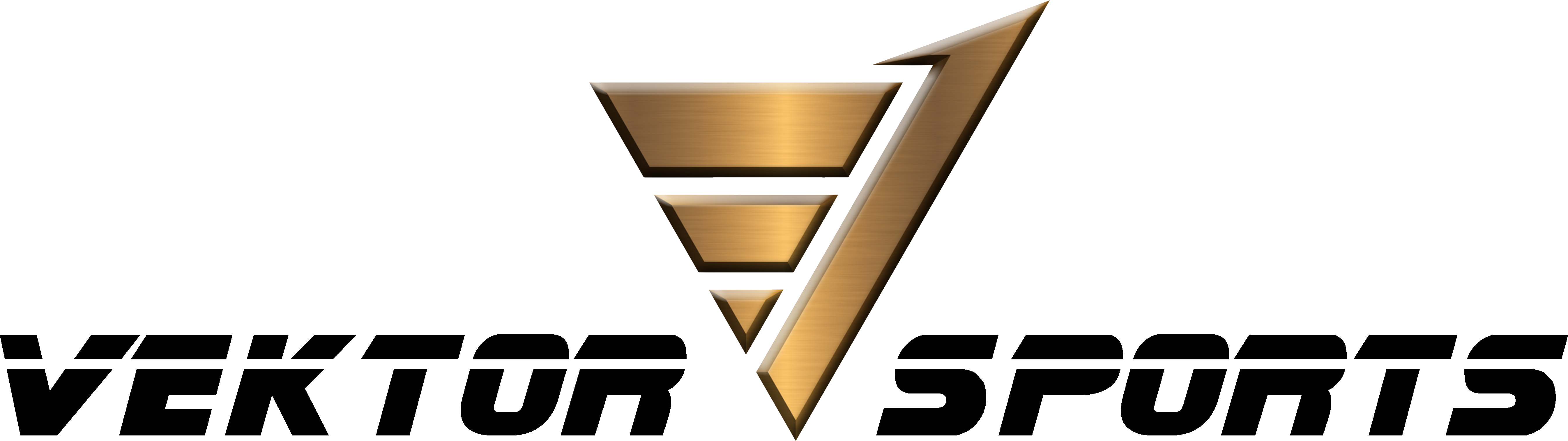 VEKTOR SPORTS